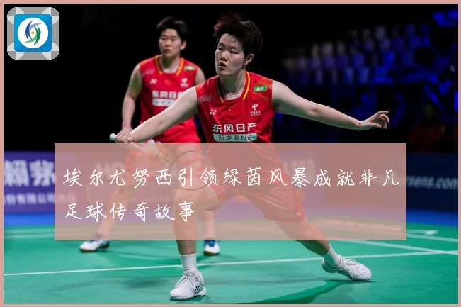埃尔尤努西引领绿茵风暴成就非凡足球传奇故事