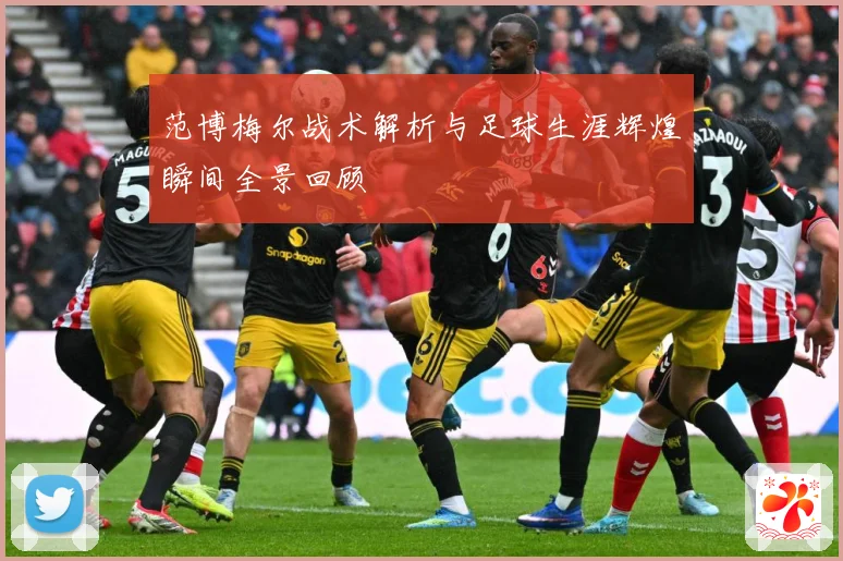 范博梅尔战术解析与足球生涯辉煌瞬间全景回顾