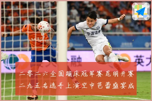 二零二六全国蹦床冠军赛昆明开赛二九五名选手上演空中芭蕾盛宴成长观察